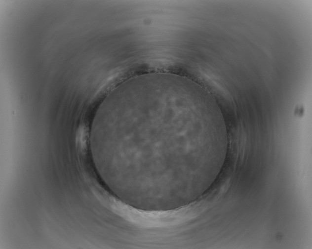 X0000092090038200709191254