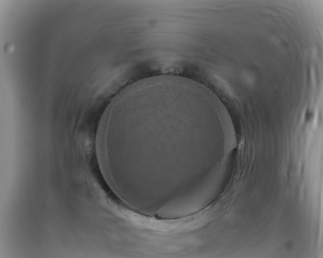 X0000092090039200709191254