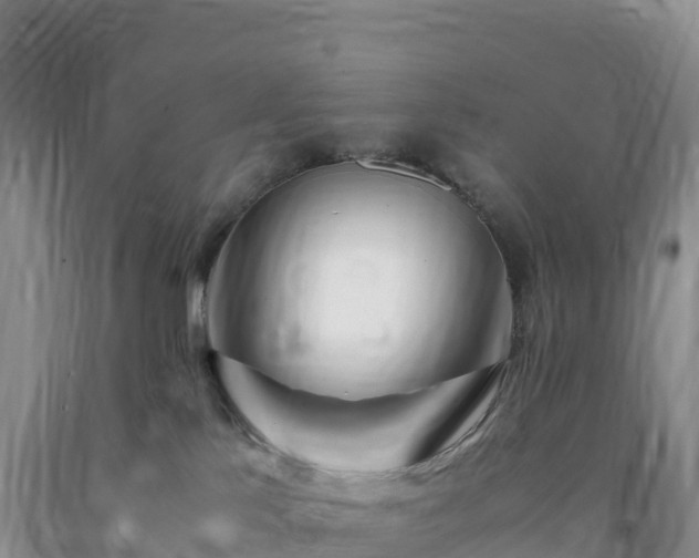 X0000092090041200709191254