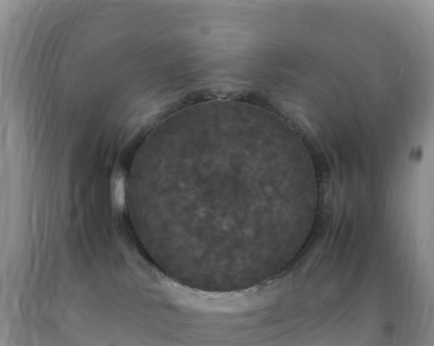 X0000092090042200709191254