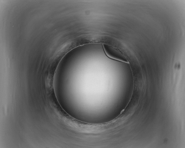 X0000092090044200709191254