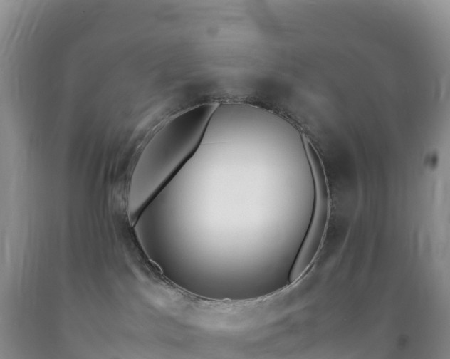 X0000092090045200709191254