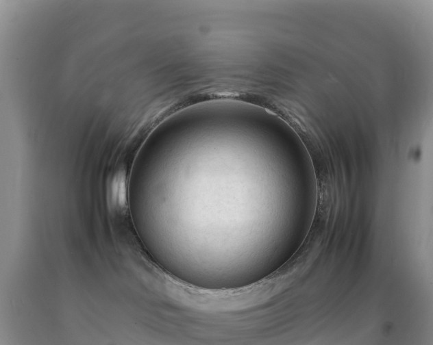 X0000092090046200709191254