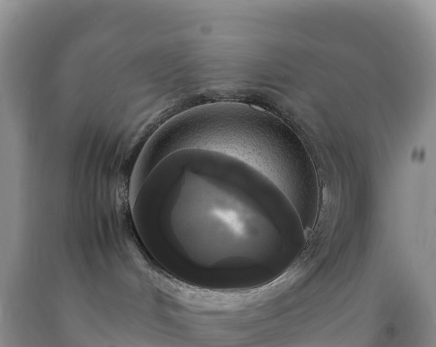 X0000092090048200709191254