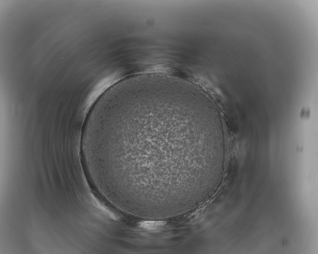 X0000092090051200709191254