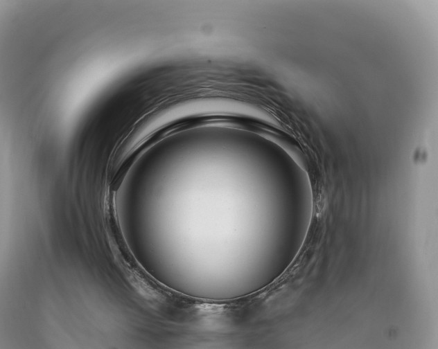 X0000092090052200709191254