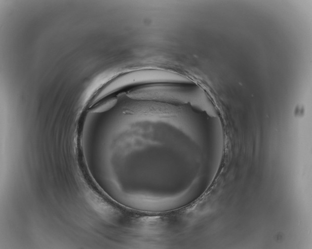 X0000092090054200709191254