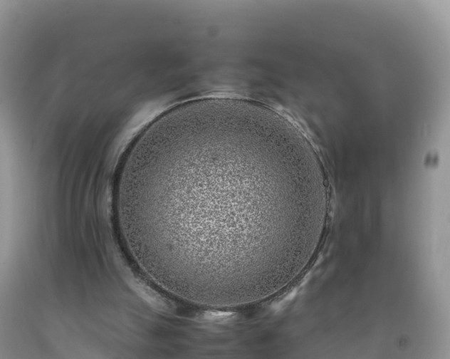 X0000092090055200709191254