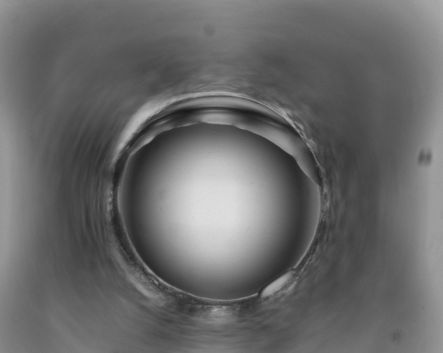 X0000092090056200709191254