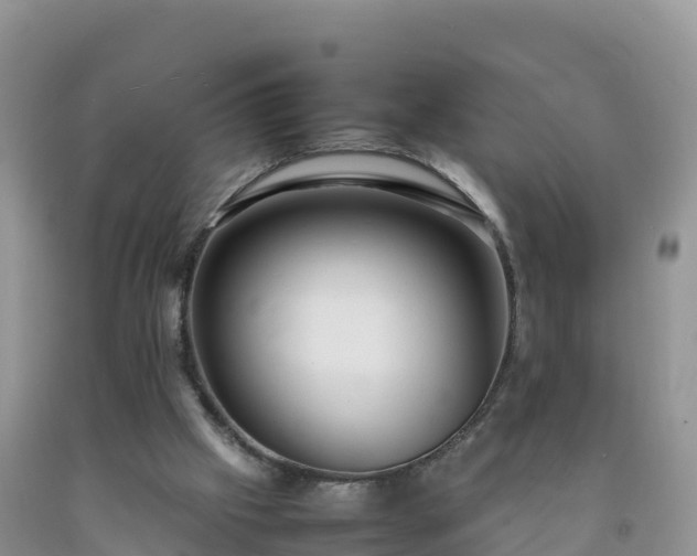 X0000092090057200709191254
