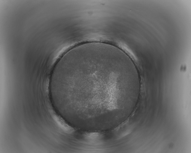 X0000092090058200709191254