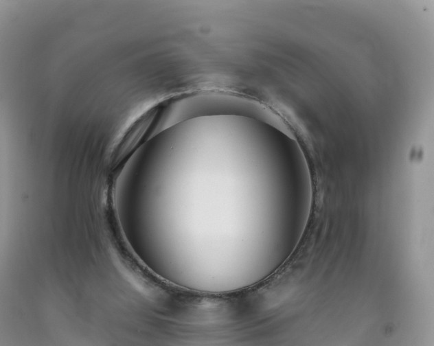 X0000092090060200709191254