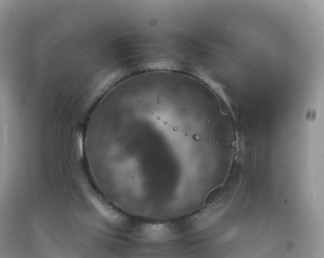 X0000092090061200709191254
