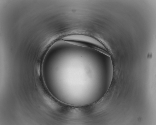X0000092090062200709191254