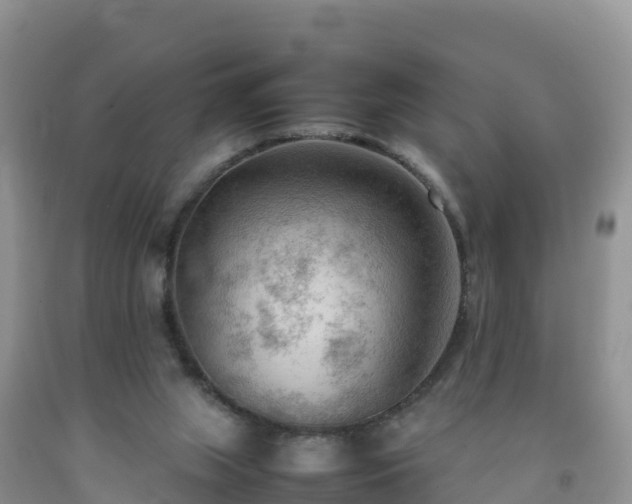 X0000092090063200709191254