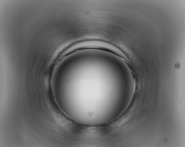 X0000092090064200709191254