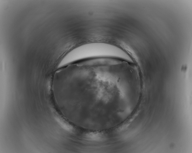 X0000092090065200709191254