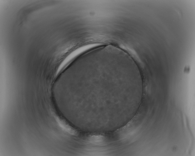 X0000092090066200709191254