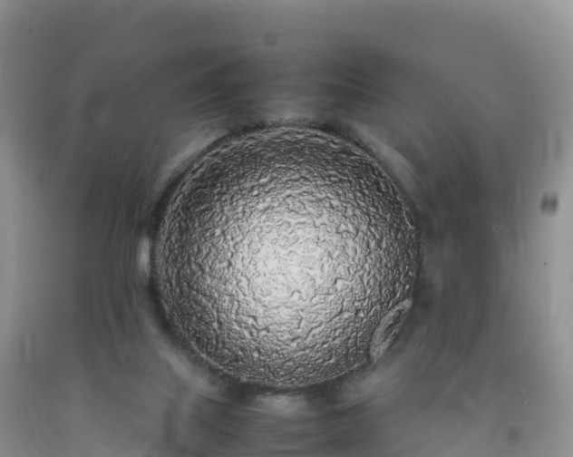 X0000092090067200709191254