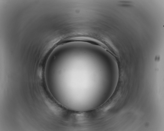 X0000092090068200709191254