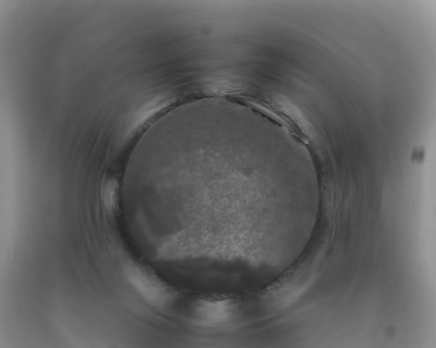 X0000092090071200709191254