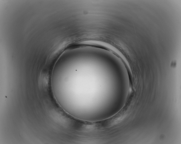 X0000092090072200709191254