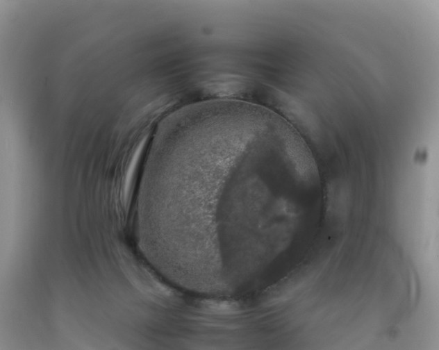 X0000092090073200709191254