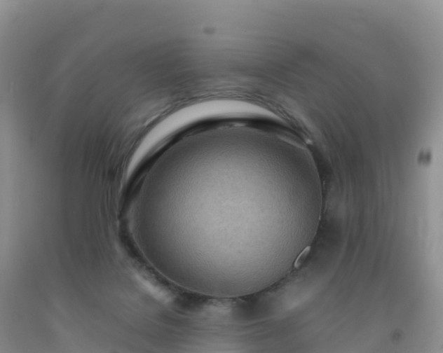 X0000092090076200709191254