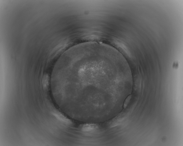 X0000092090077200709191254