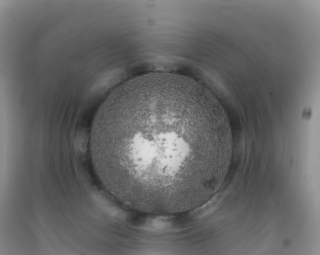 X0000092090078200709191254