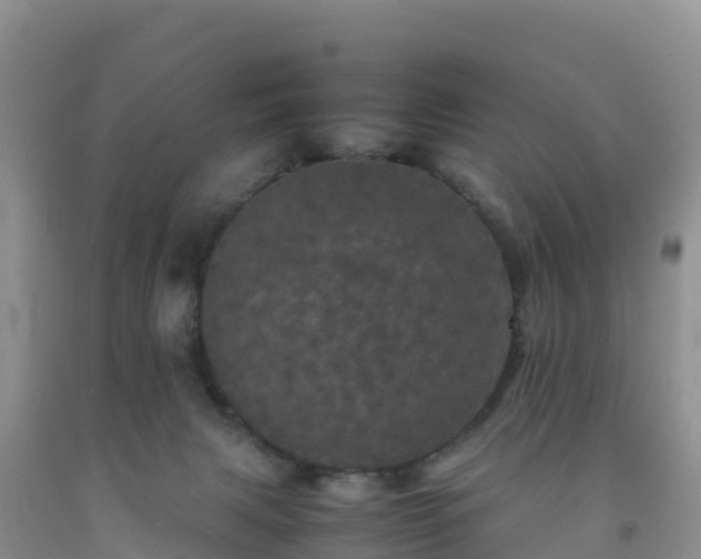 X0000092090079200709191254