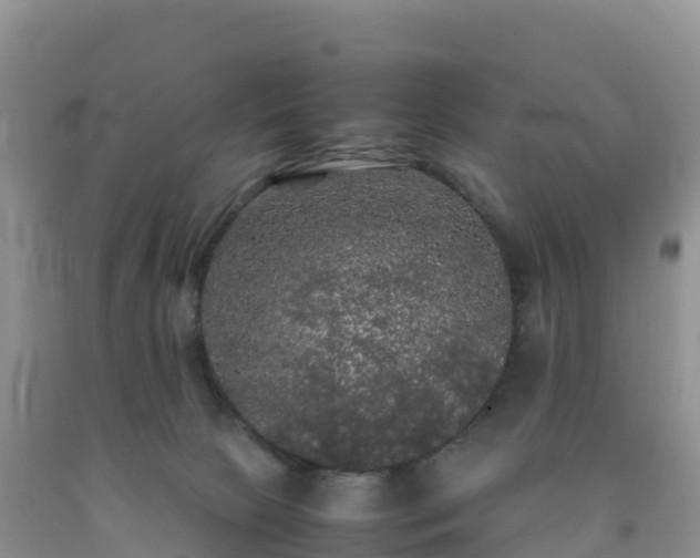 X0000092090081200709191254