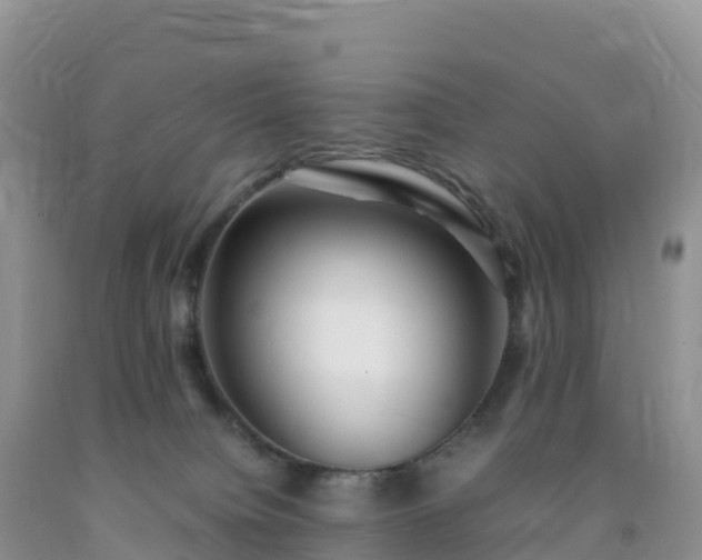 X0000092090084200709191254