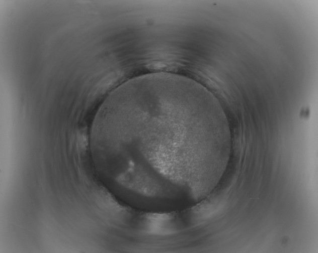 X0000092090085200709191254