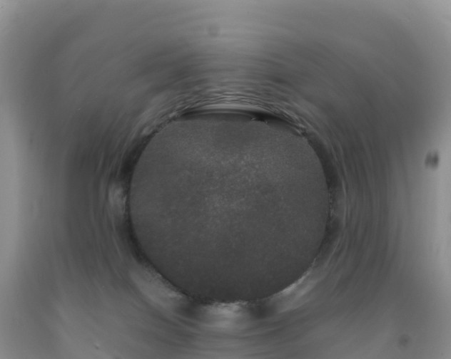 X0000092090086200709191254