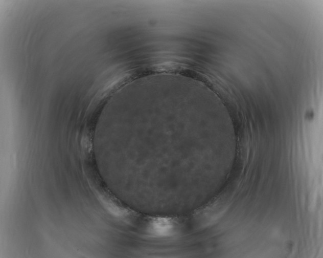 X0000092090091200709191254