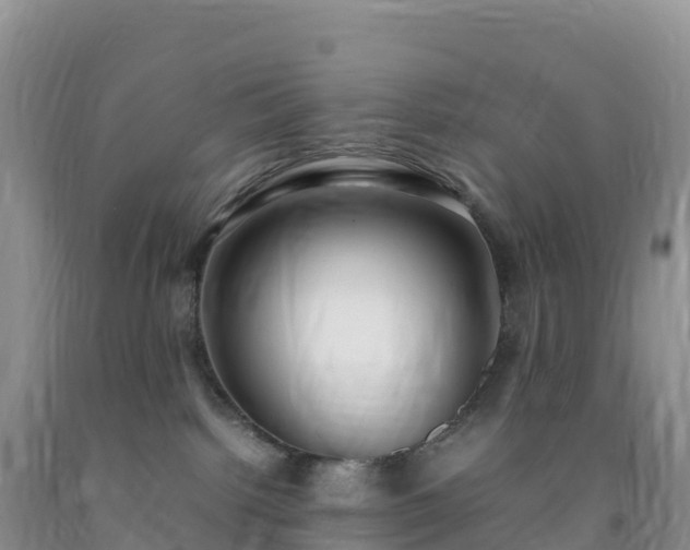 X0000092090092200709191254