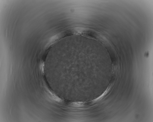 X0000092090094200709191254