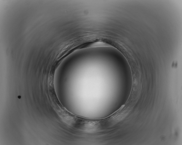 X0000092090096200709191254
