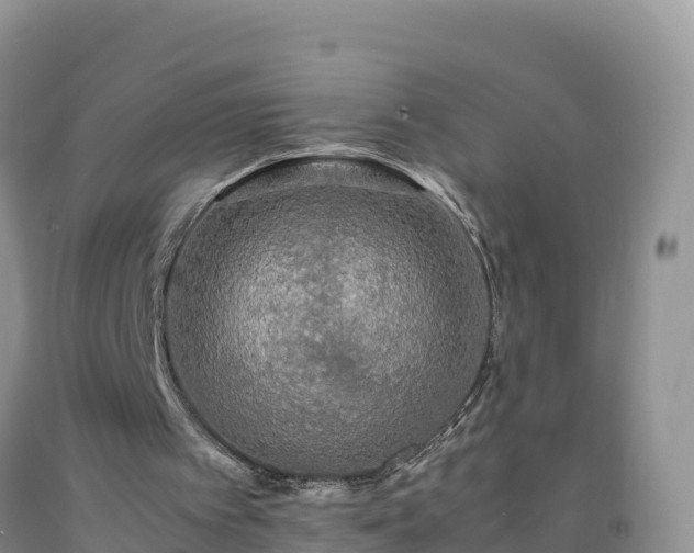 X0000092090097200709191253