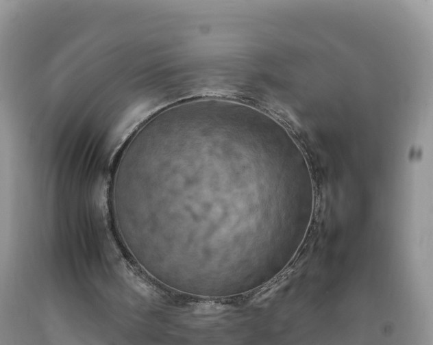 X0000092090098200709191253