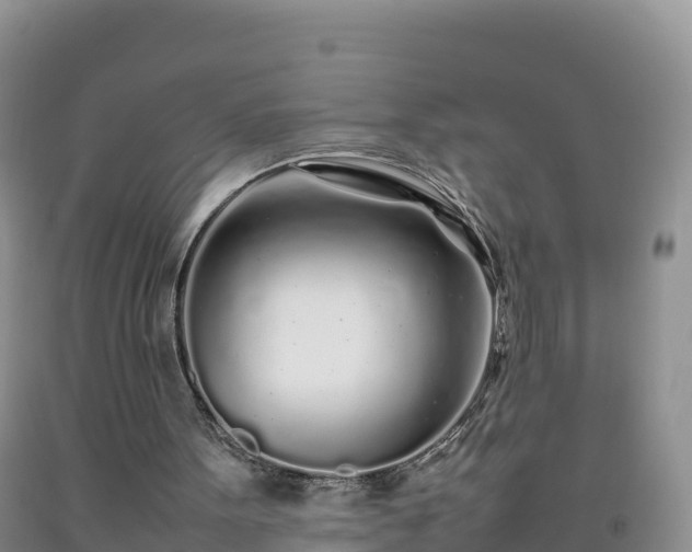 X0000092090099200709191253