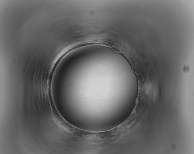 X0000092090100200709191253