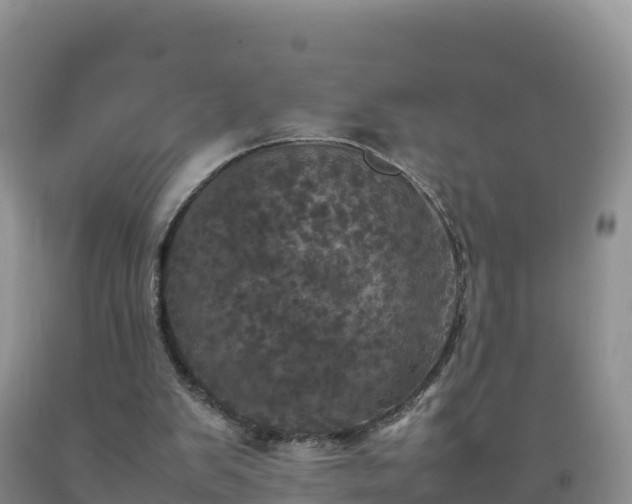 X0000092090103200709191253
