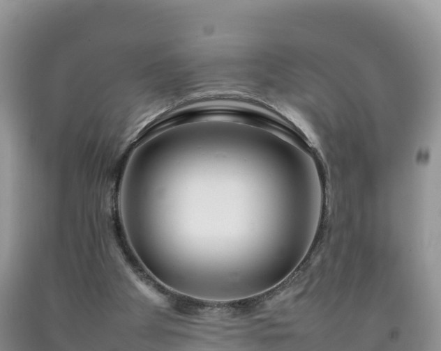 X0000092090105200709191253
