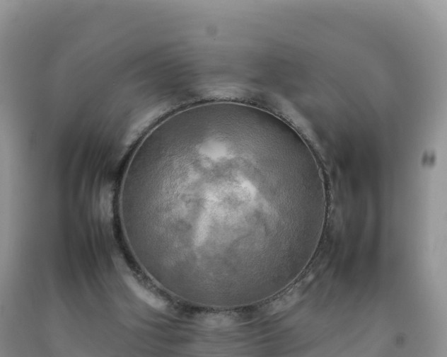 X0000092090106200709191253