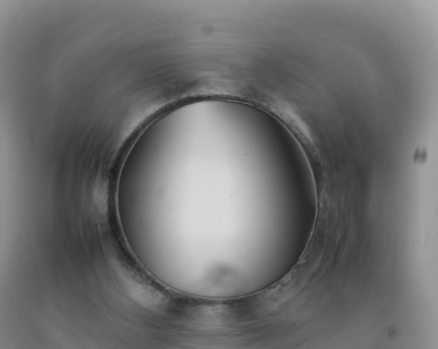 X0000092090108200709191253