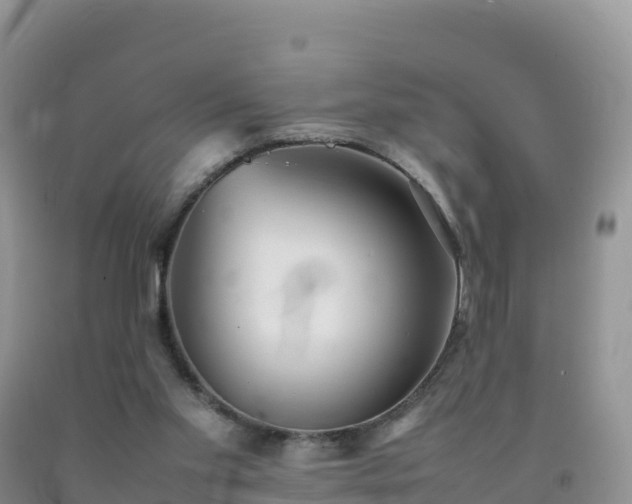 X0000092090109200709191253