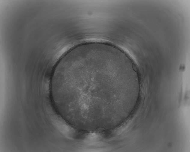 X0000092090111200709191253