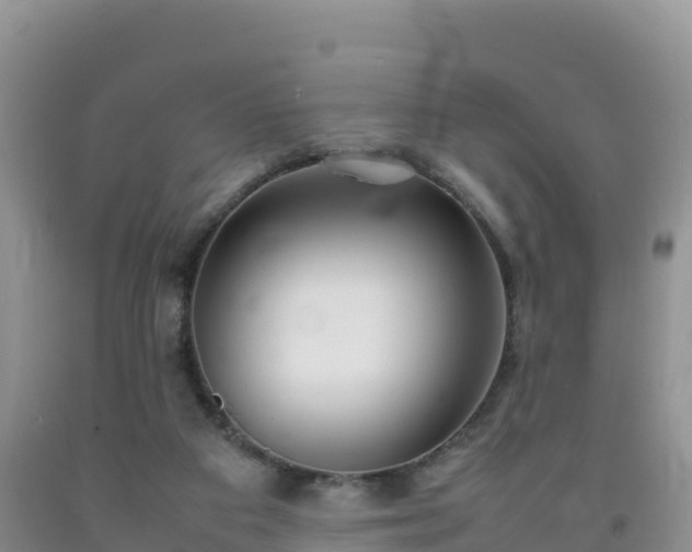 X0000092090113200709191253